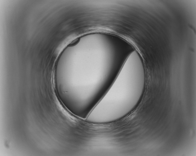 X0000102501391200808080935