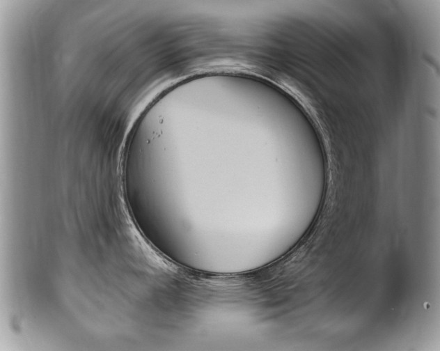 X0000102501392200808080935