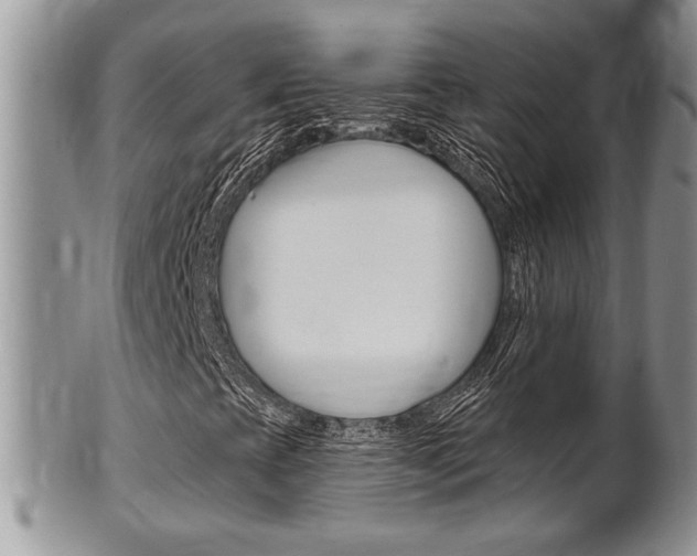 X0000102501393200808080934