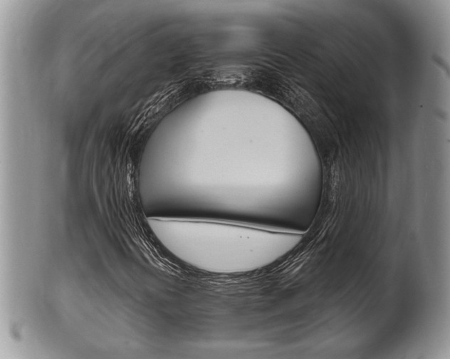 X0000102501394200808080934