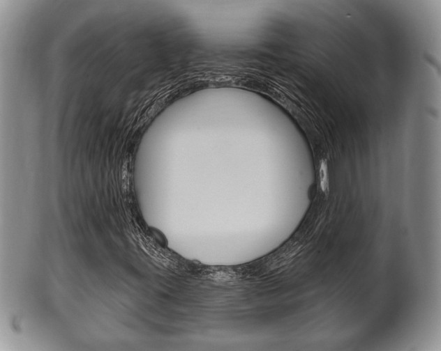 X0000102501395200808080934