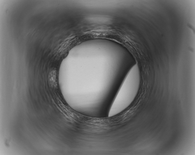 X0000102501396200808080934