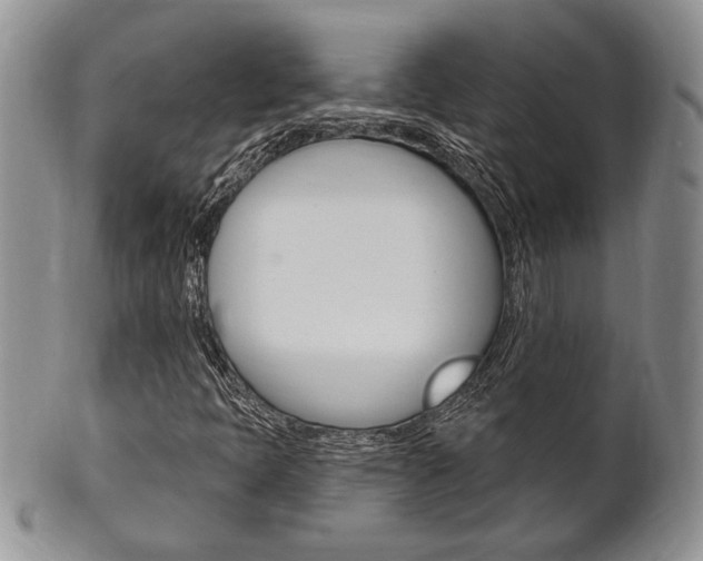 X0000102501397200808080934