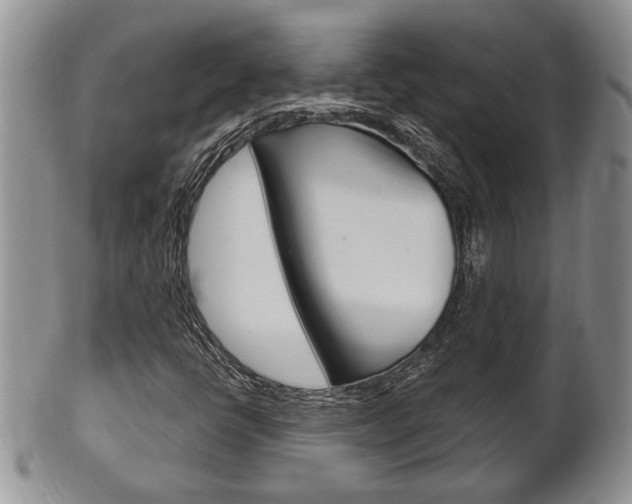 X0000102501398200808080934