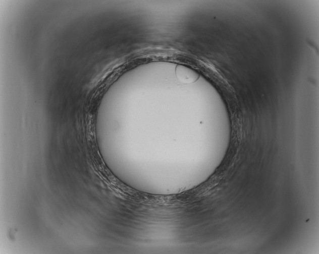 X0000102501399200808080934