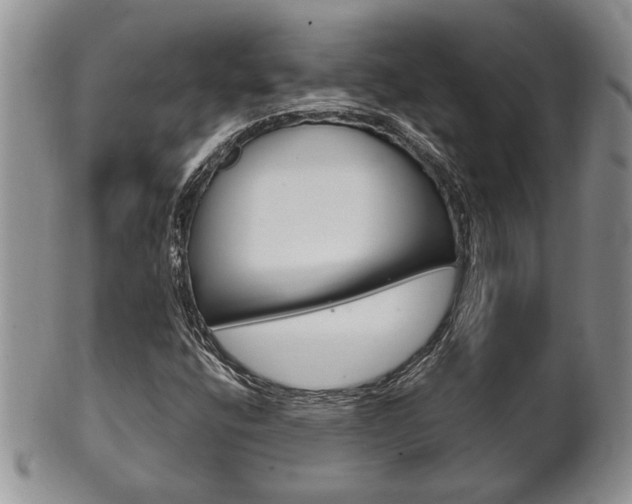 X0000102501400200808080934
