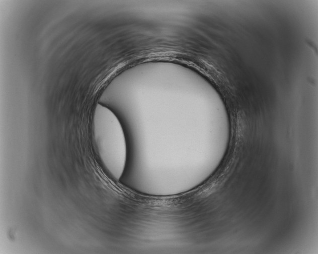 X0000102501401200808080934