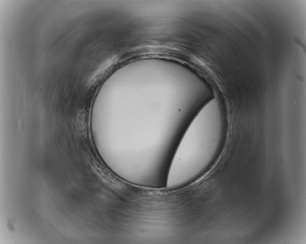X0000102501403200808080934