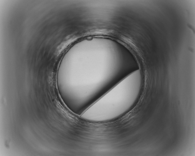 X0000102501404200808080934