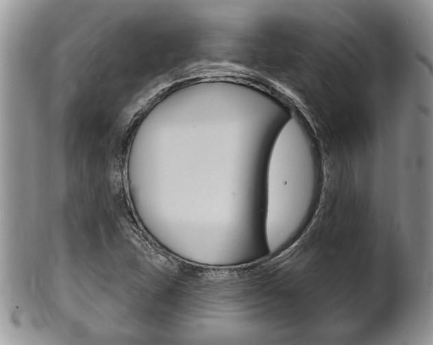 X0000102501407200808080934