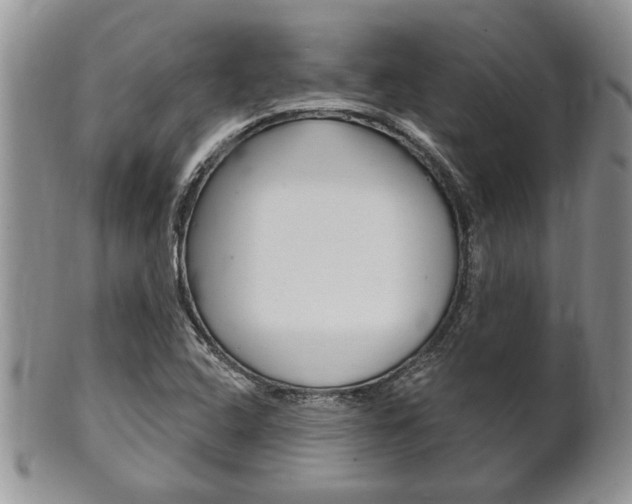 X0000102501408200808080934