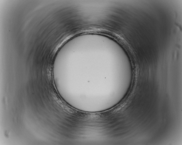 X0000102501409200808080934