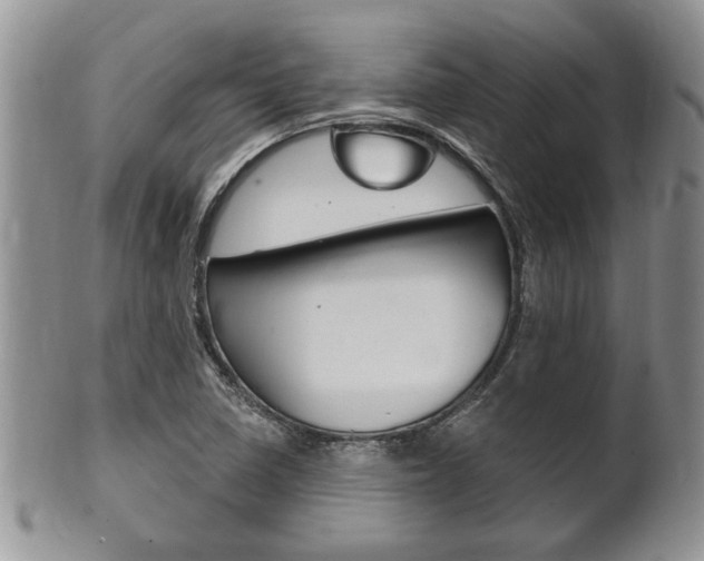 X0000102501410200808080934
