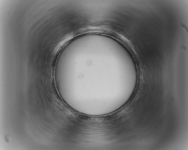 X0000102501411200808080934