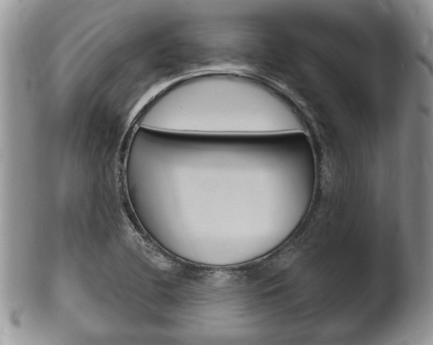 X0000102501412200808080934