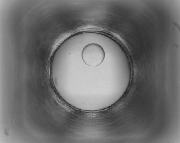 X0000102501413200808080934