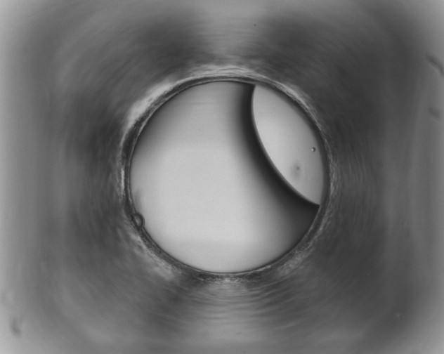 X0000102501414200808080935