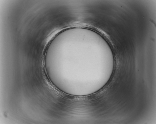 X0000102501415200808080935