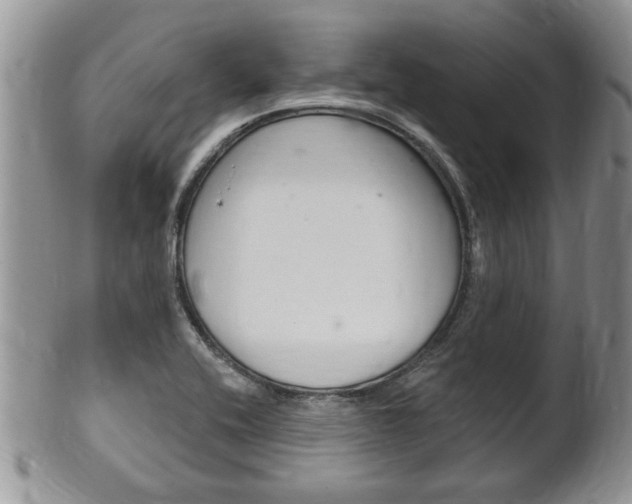 X0000102501416200808080935