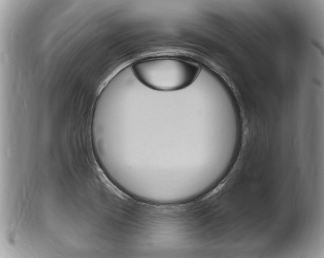 X0000102501417200808080935