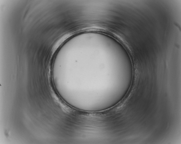 X0000102501418200808080935