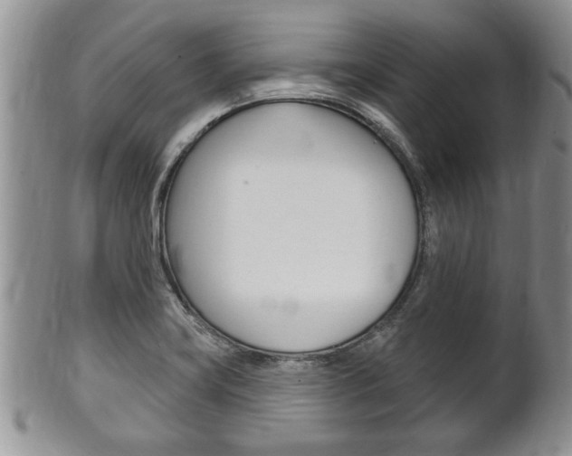 X0000102501419200808080935