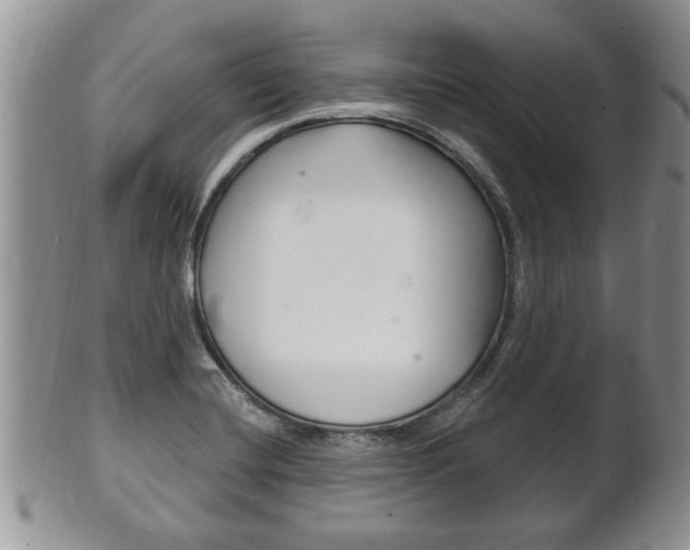 X0000102501420200808080935