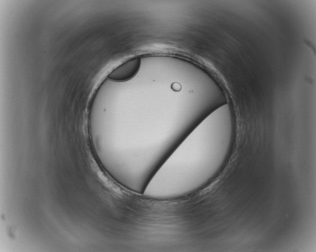 X0000102501421200808080935