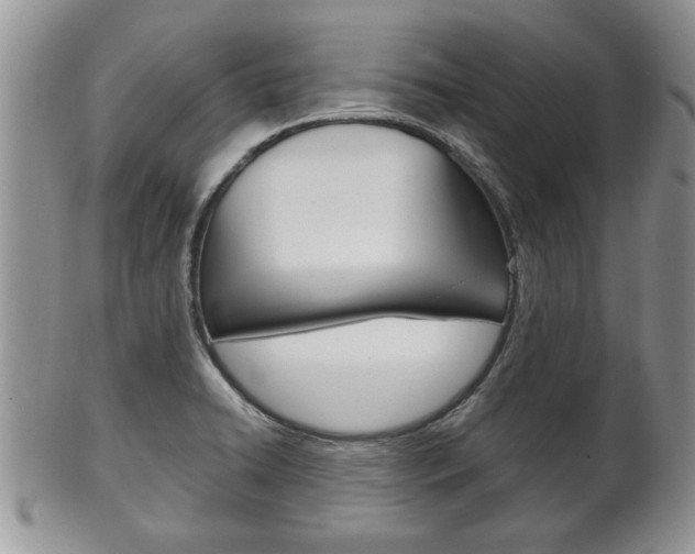X0000102501422200808080935