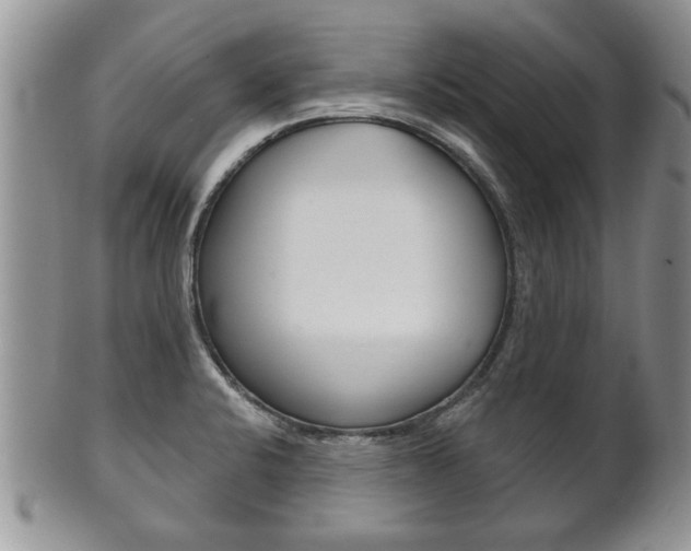 X0000102501424200808080935