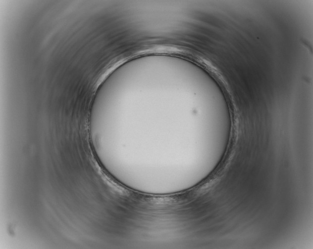 X0000102501425200808080935