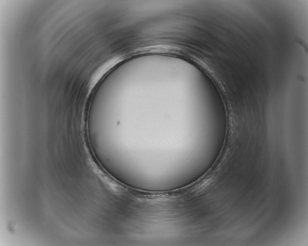 X0000102501426200808080935