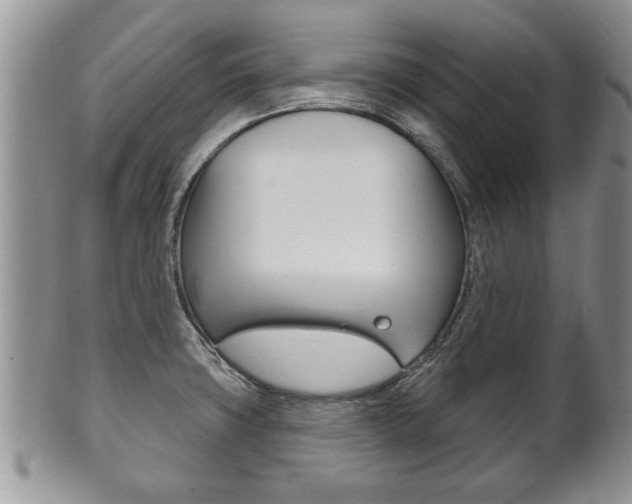 X0000102501427200808080935