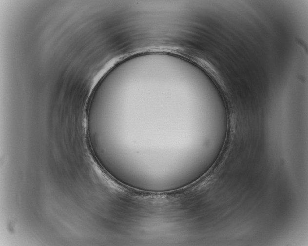 X0000102501428200808080935