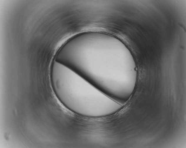 X0000102501430200808080935