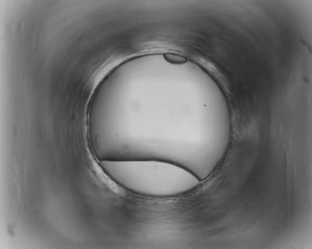 X0000102501431200808080935