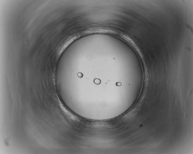 X0000102501433200808080935
