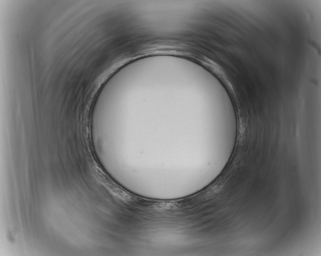 X0000102501435200808080935