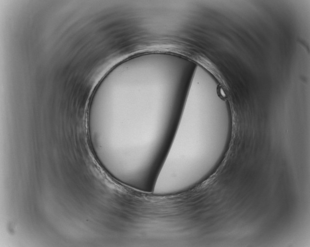 X0000102501436200808080935