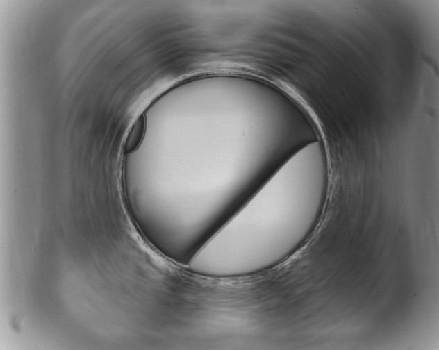 X0000102501437200808080935
