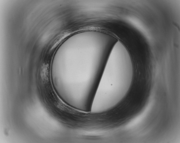 X0000102501438200808080935