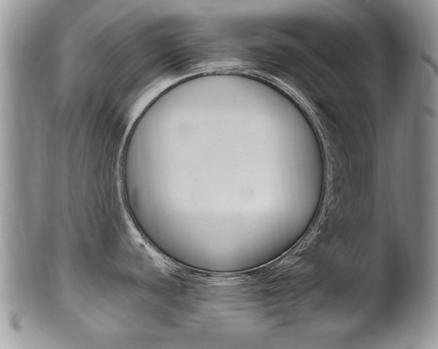 X0000102501440200808080935