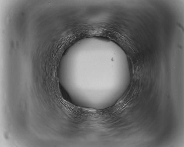 X0000102501441200808080934
