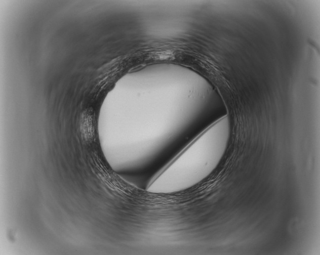 X0000102501442200808080934