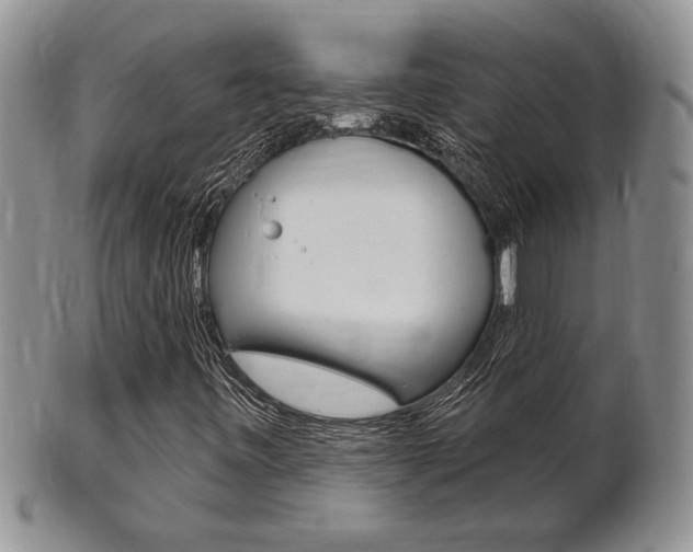 X0000102501443200808080934