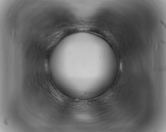 X0000102501444200808080934