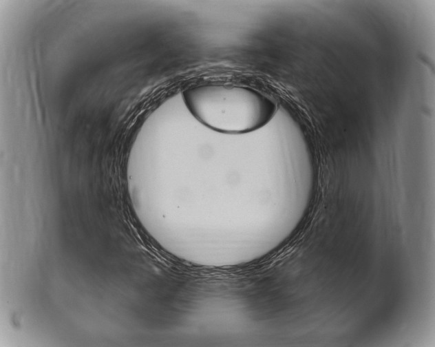 X0000102501445200808080934