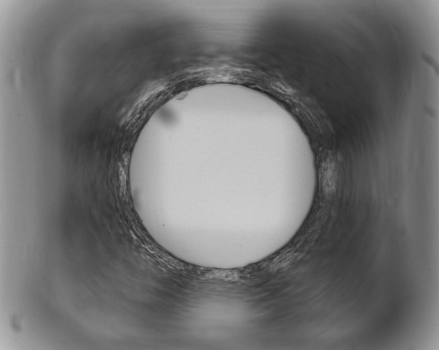 X0000102501446200808080934
