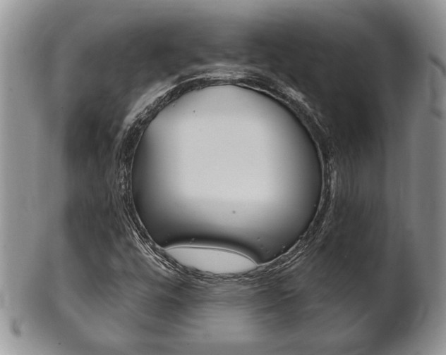 X0000102501448200808080934