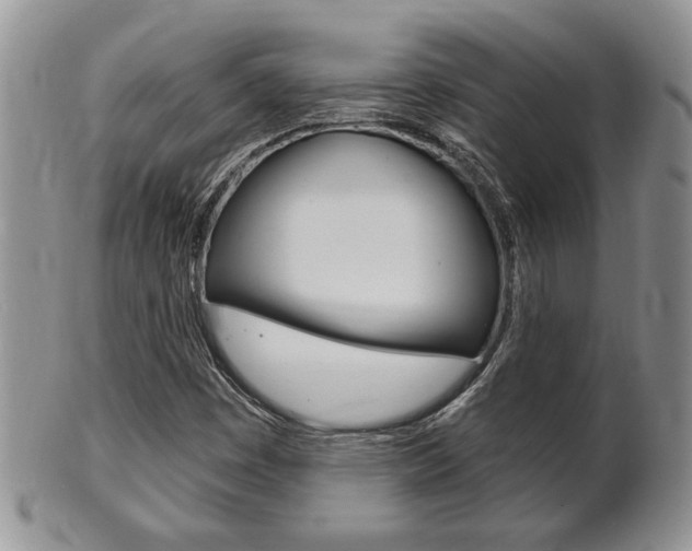 X0000102501449200808080934